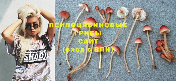 кокаин колумбия Алексин
