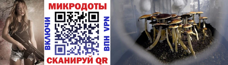 площадка Telegram  Алексеевка  Псилоцибиновые грибы Magic Shrooms 