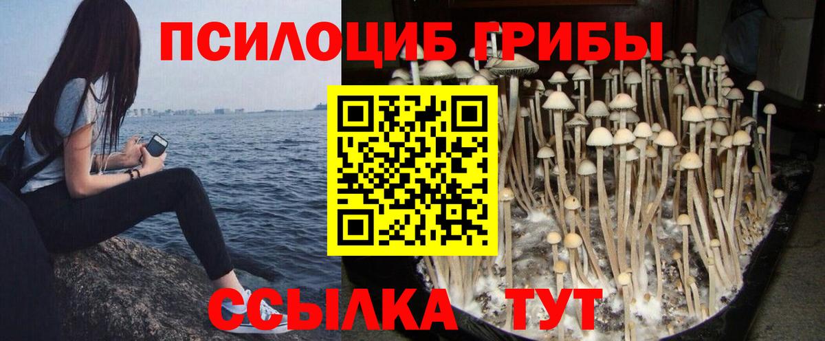 Алексеевка  Псилоцибиновые грибы GOLDEN TEACHER  Псилоцибиновые грибы ЛСД  Вход с VPN 