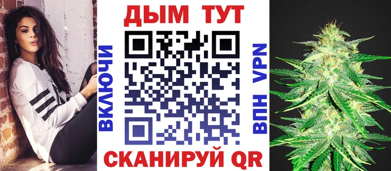 Бошки Шишки план  Алексеевка 